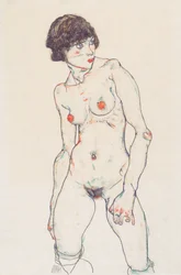 Standing Female Nude with Stockings